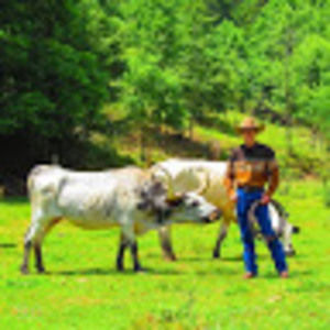 Meet your Posher, Kenny